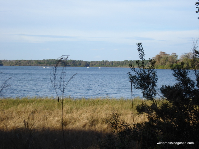 View of Boats from Nature Trail